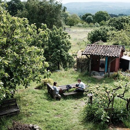 Torre Tanquian Eco Finca - Ribeira Sacra Panton Exterior photo