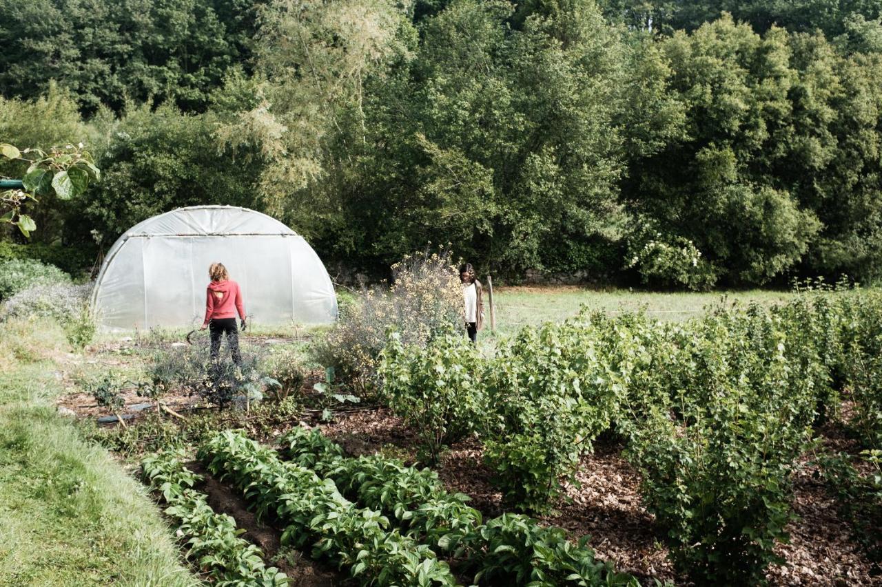 Torre Tanquian Eco Finca - Ribeira Sacra Panton Exterior photo